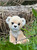 Cuddle Cub Lioness