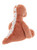 Stevie Stegosaurus (Marmalade Orange)