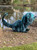 The Loch Ness Monster