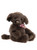 Charlie Bears 2022 Plush Collection puppy - Boomerang