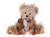 Charlie Bears 2023 Plush Collection Panda - Rachael